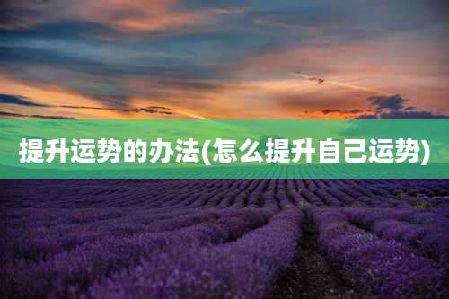 提升运势的办法(怎么提升自己运势)
