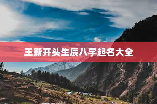 王新开头生辰八字起名大全