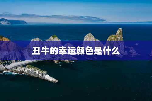 丑牛的幸运颜色是什么