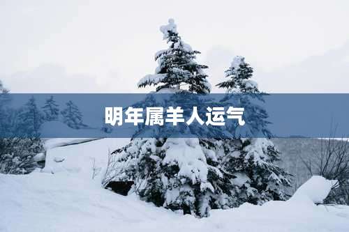 明年属羊人运气