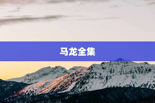 马龙全集