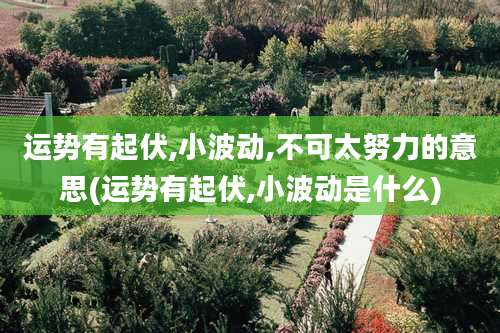 运势有起伏,小波动,不可太努力的意思(运势有起伏,小波动是什么)