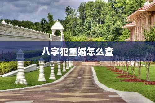 八字犯重婚怎么查