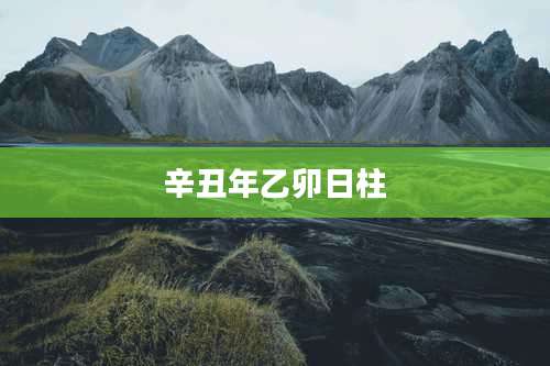 辛丑年乙卯日柱
