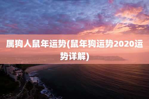 属狗人鼠年运势(鼠年狗运势2020运势详解)