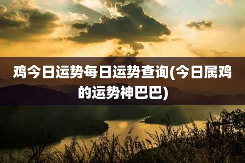 鸡今日运势每日运势查询(今日属鸡的运势神巴巴)