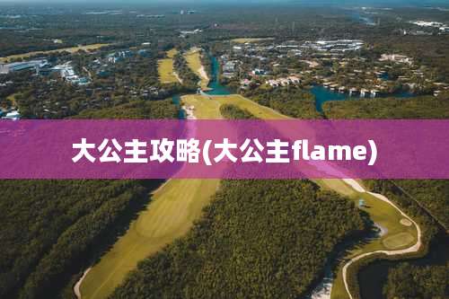 大公主攻略(大公主flame)