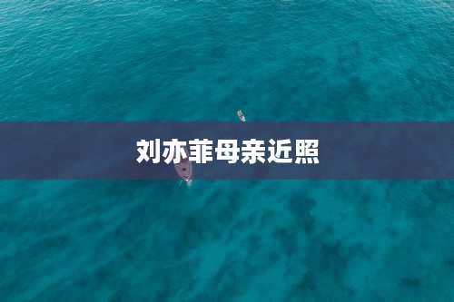 刘亦菲母亲近照