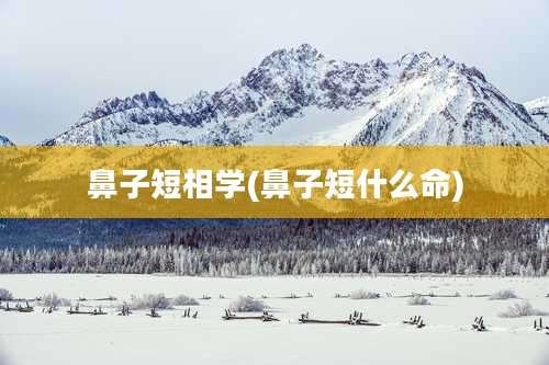 鼻子短相学(鼻子短什么命)