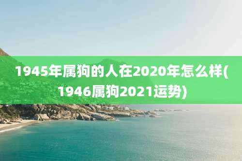 1945年属狗的人在2020年怎么样(1946属狗2021运势)
