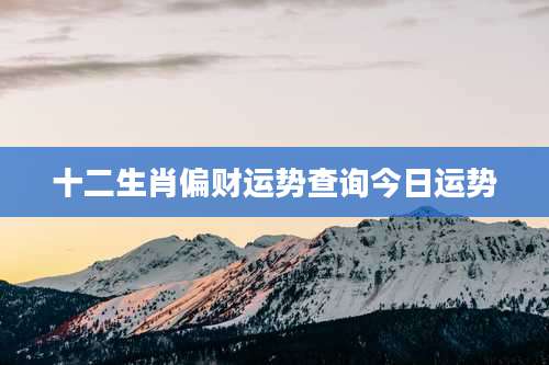 十二生肖偏财运势查询今日运势