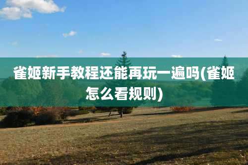 雀姬新手教程还能再玩一遍吗(雀姬怎么看规则)