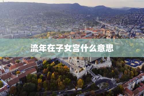 流年在子女宫什么意思