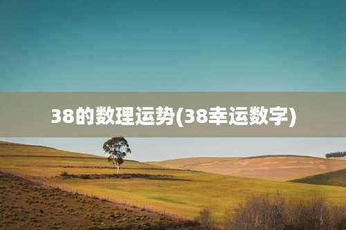38的数理运势(38幸运数字)