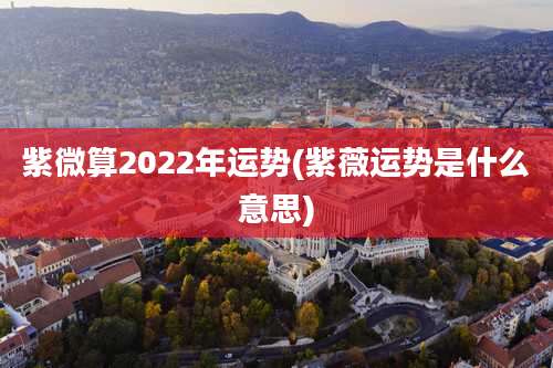 紫微算2022年运势(紫薇运势是什么意思)