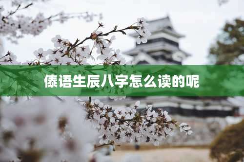 傣语生辰八字怎么读的呢