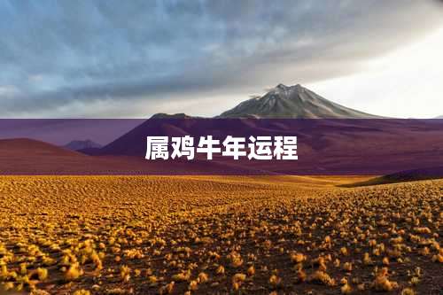 属鸡牛年运程