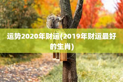 运势2020年财运(2019年财运最好的生肖)
