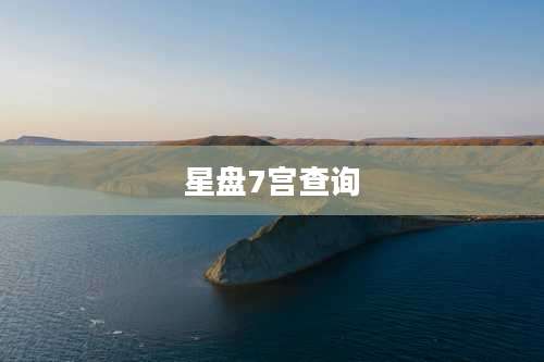 星盘7宫查询