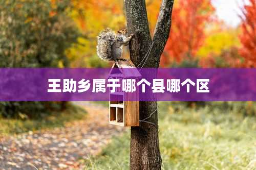 王助乡属于哪个县哪个区