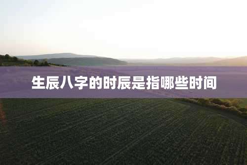 生辰八字的时辰是指哪些时间