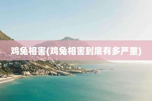 鸡兔相害(鸡兔相害到底有多严重)