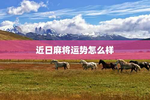 近日麻将运势怎么样