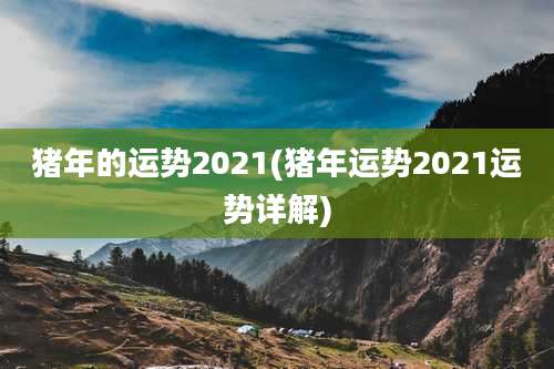 猪年的运势2021(猪年运势2021运势详解)