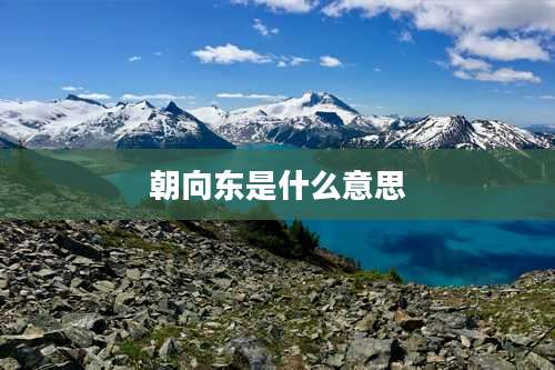 朝向东是什么意思