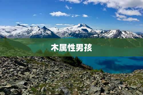 木属性男孩