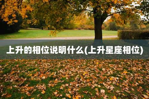 上升的相位说明什么(上升星座相位)