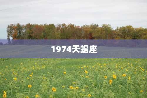 1974天蝎座