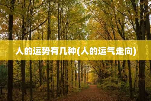 人的运势有几种(人的运气走向)