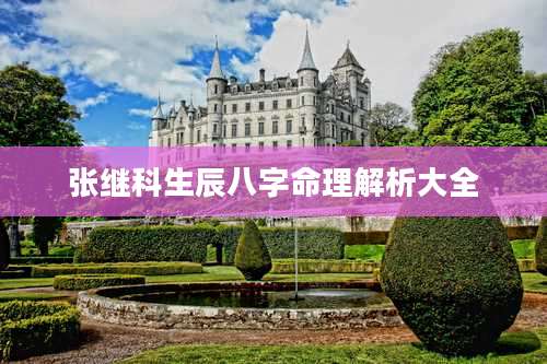 张继科生辰八字命理解析大全