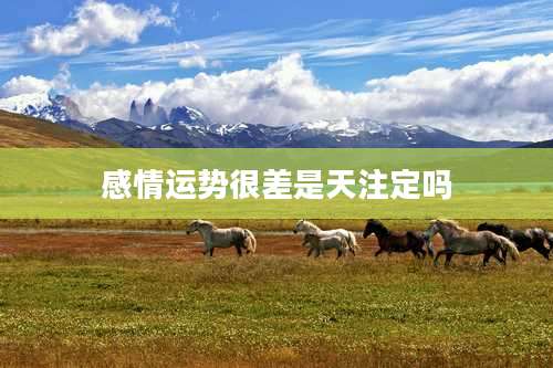 感情运势很差是天注定吗