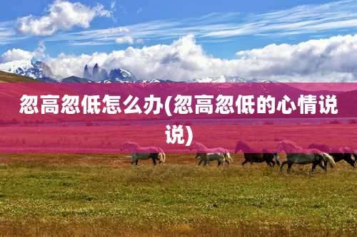 忽高忽低怎么办(忽高忽低的心情说说)