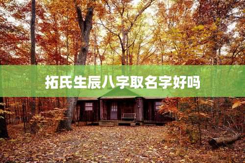 拓氏生辰八字取名字好吗