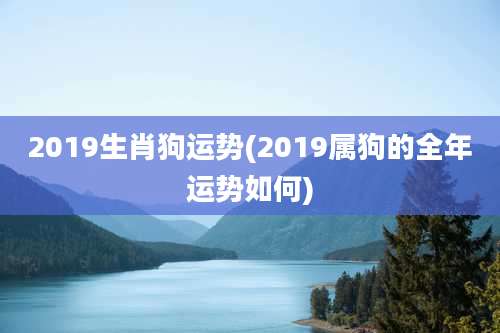2019生肖狗运势(2019属狗的全年运势如何)