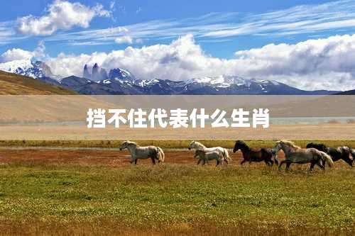 挡不住代表什么生肖