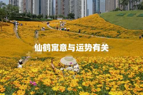 仙鹤寓意与运势有关