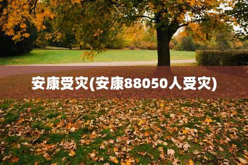 安康受灾(安康88050人受灾)