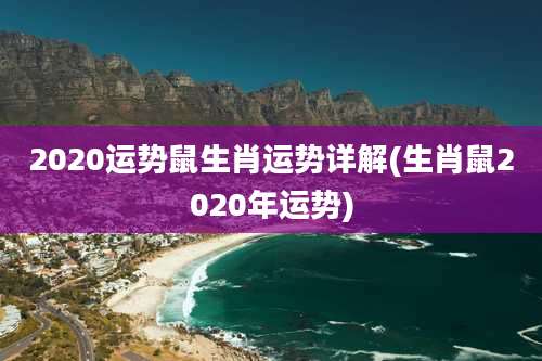 2020运势鼠生肖运势详解(生肖鼠2020年运势)