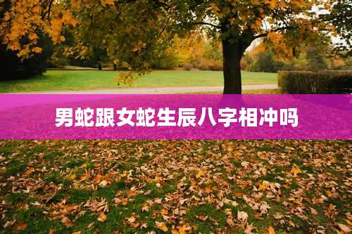 男蛇跟女蛇生辰八字相冲吗