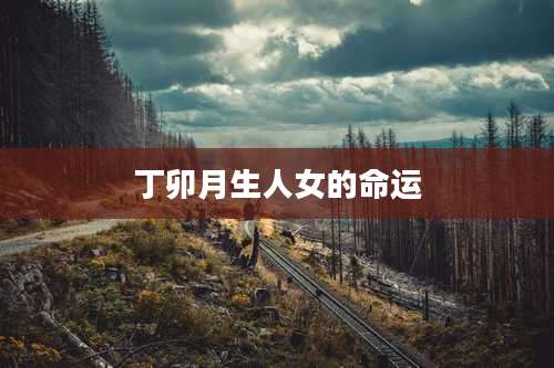 丁卯月生人女的命运