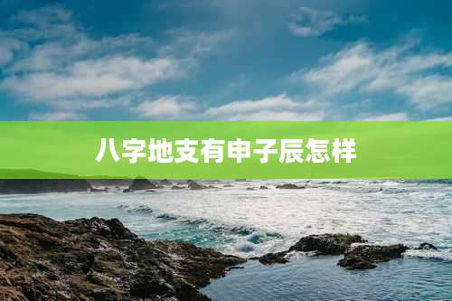 八字地支有申子辰怎样