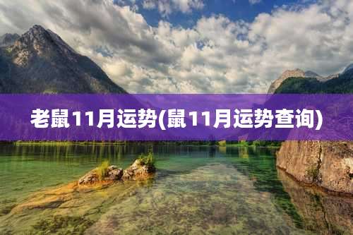 老鼠11月运势(鼠11月运势查询)