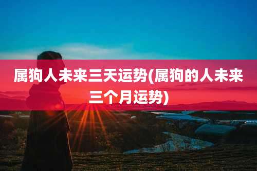 属狗人未来三天运势(属狗的人未来三个月运势)