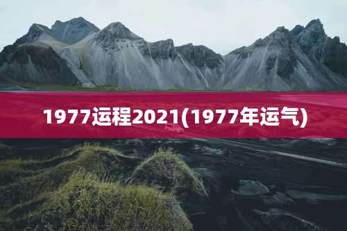 1977运程2021(1977年运气)