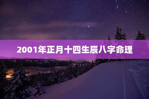 2001年正月十四生辰八字命理
