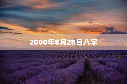2000年8月28日八字